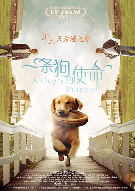 我朋友的妈妈未经审查
