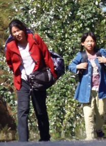 伊人精品视频直播
